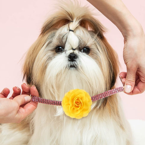 WILLBOND 8 Pieces Dog Flowers Collar Pet Charms, 8 cm Cat Pet Bow Tie for Puppy Dog Collar Accessories