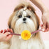 WILLBOND 8 Pieces Dog Flowers Collar Pet Charms, 8 cm Cat Pet Bow Tie for Puppy Dog Collar Accessories