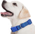 9 Pieces Adjustable Dog Collar for Medium Dogs, Soft Nylon with Quick Release Buckle, Retro Colors