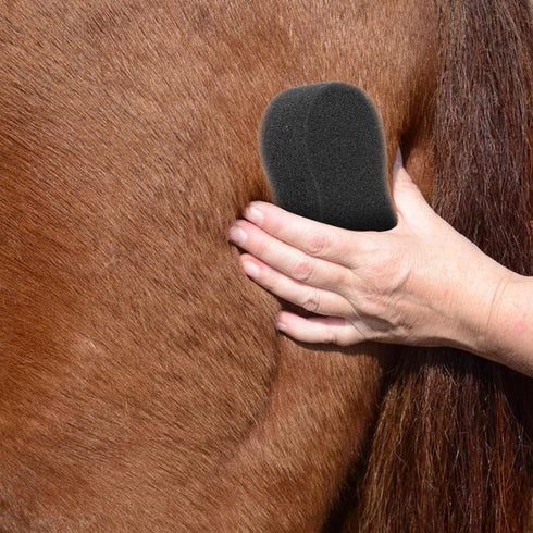 5pcs Soft Cleaning Sponges for Horse Grooming