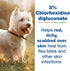 Douxo S3 Pyo Mousse, 3% Chlorhexidine & 0.5% Ophytrium, Antiseptic & Hydrating for Bacterial or Yeast Skin Infections,