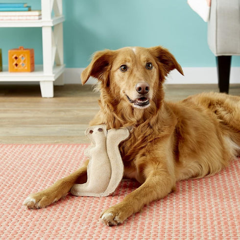SPOT 8in Dura-Fused Leather Squirrel Dog Toy Real Leather & Jute Fabric, Double-Stitched & Durable, Soft Stuffed