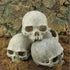 Hewnda Aquarium Decor, Resin Artificial Head Skeleton Decoration for Aquarium Otaru Landscape
