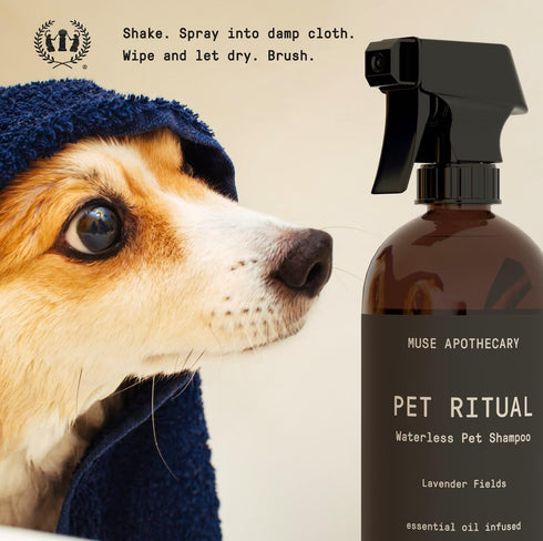 Muse Apothecary Pet Ritual Aromatic Waterless Shampoo for Pets, No Rinse Dog Shampoo with Essential Oils (16oz Fresh