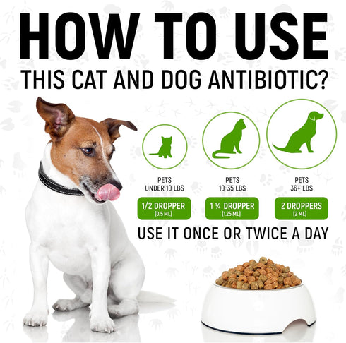 Natural Antibiotic for Cats and Dogs | 2 Oz Beef Dietary Supplement | Cat and Dog Antibiotics