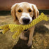Dog Pet Puppy Chew Toys for Teething - Rope Ball Knot Training Treats for Small Medium Dogs (Giraffe)