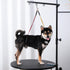 Hammock Hammock, Dog Grooming Table Arm with - Adjustable Height, Pet Grooming No Sit Haunch Holders, Loop Noose