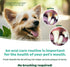 2oz. TropiClean Fresh Breath Dog Toothpaste for Teeth Cleaning, Breath Freshener, Easy Plaque & Tartar Remover Gel, No