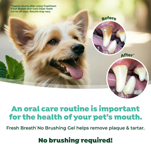 4oz. TropiClean Fresh Breath Dog Toothpaste for Teeth Cleaning, Breath Freshener, Easy Plaque & Tartar Remover Gel, No
