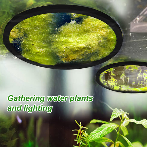 5pcs Aquarium Floating Plant Rings, 5 Sizes Foam Fish Feeding Rings for Keeping Floating Plants in Place, Black