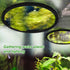 5pcs Aquarium Floating Plant Rings, 5 Sizes Foam Fish Feeding Rings for Keeping Floating Plants in Place, Black