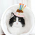 LESYPET Dog Birthday Hat, Pet Birthday Cake Hat with Candle for Dog Cat Party Costume, Pink Size S