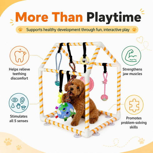 TAdgnba 8 Puppy Play Gym for Small Dogs, Dog Jungle Gym with Hanging Toys & Bungee Straps PVC Frame Indoor Jungle