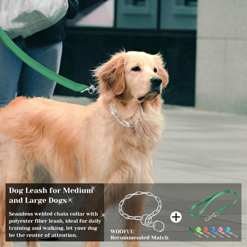 Silver Dog Chain Collar, Heavy Duty Chew Proof Stainless Steel Long Link Fur Saver Training Collar for Small Medium Dogs