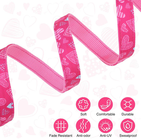 Small Dog Collar and Leash Set - Adjustable Pet Collar for XS, S, M Breeds, 5FT Nylon Dog Leash with Hearts