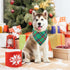 2 Pack Set Malier Dog Bandana Christmas Classic Plaid Pets Scarf Triangle Bibs Kerchief Pet Costume Accessories