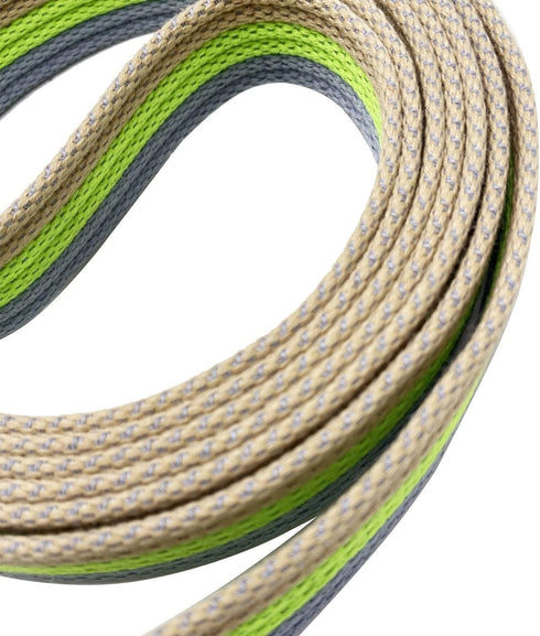 Soft Cotton Web Dog Leash - Basic Training Walking Lead, 5FT Long, 1 Inch Wide (Green)