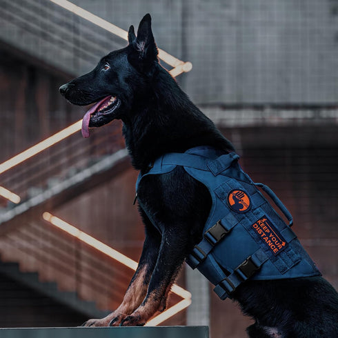 OneTigris No Pull Tactical Dog Harness, Mesh Design Vest for Small Medium Dogs, Breathable Military Molle with Handles