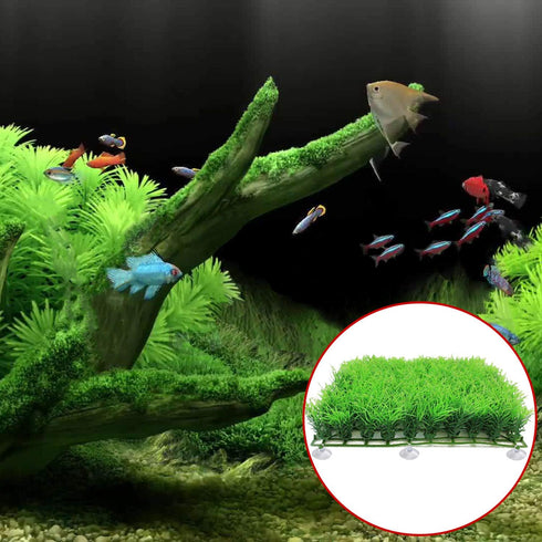 FEBSNOW Aquarium Suction Cups with 30 PCS Adjustable Cable Ties for Plants, Planter, Binding Moss Shrimp Nest (20)