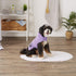 Bone Dry Pet Robe Collection, Embroidered Absorbent Microfiber Bath Robe with Adjustable Closure, Small, Lavender