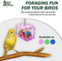 Large or Small Treasure Chest, Perfect Bird Cage Toy, Colorful, Safe, Easy to Install