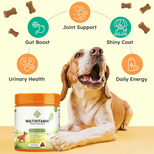 ZENO 150 Immune, Packed 3s, Dog Vitamins and Supplements - Dog Multivitamin Chewable - Joint Support, Skin, Gut Health