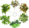 PINVNBY Reptile Terrarium Plants - Hanging Artificial Habitat Climbing Decorations with Suction Cup, 6PCS