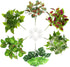PINVNBY Reptile Terrarium Plants - Hanging Artificial Habitat Climbing Decorations with Suction Cup, 6PCS
