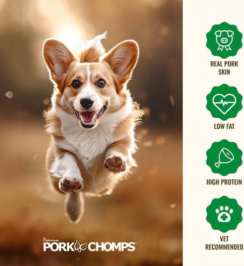 5-inch 1.6 (Pack 1) Pork Chomps Roasted Pork Skin Dog Chews, Ear Shapes, Ounce