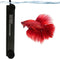 SunGrow 10W Water Heater for Turtle Aquarium Tank, Cat & Dog Heated Bowl, Bird Fountain Deicer, Chicken & Horse Water