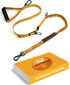 Shock Absorbing Bungee Dog Leash 4-7 ft. for Golden Retrievers with Padded Handle, Seatbelt Buckle, Reflective