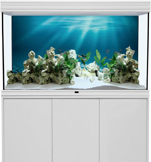 AWERT 24x16 inches Undersea Theme Aquarium Background – Sunshine Underwater World Fish Tank Background Vinyl