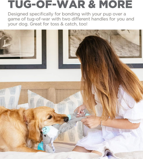 Outward Hound Scrunch Bunch Bunny - Interactive Plush Squeaky Dog Tug Toy