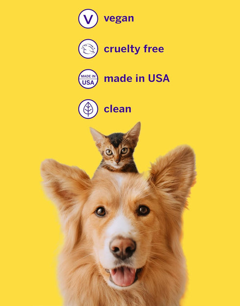 2.5 Oz) Petsmile Professional Pet Teeth Brushing Kit for Cats & Dogs - VOHC Accepted Toothpaste & Patented Toothbrush