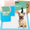 ZOMISIA Puppy Pee Pads with Health Monitoring 100 Count for Dogs 22"