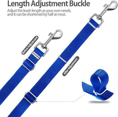 Long Leash for Dog Training - 30ft Adjustable Obedience Recall Leash for All Dogs, Blue