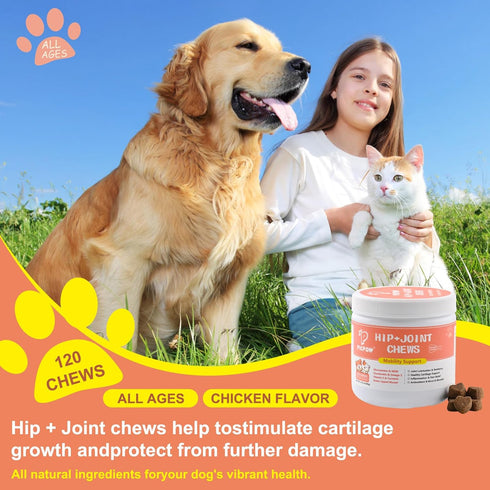 120 Chewable Bone Health for Dogs & Cats Promotes Tissue Repair, Supports Bones& Muscles, Digestive, Skin, Coat