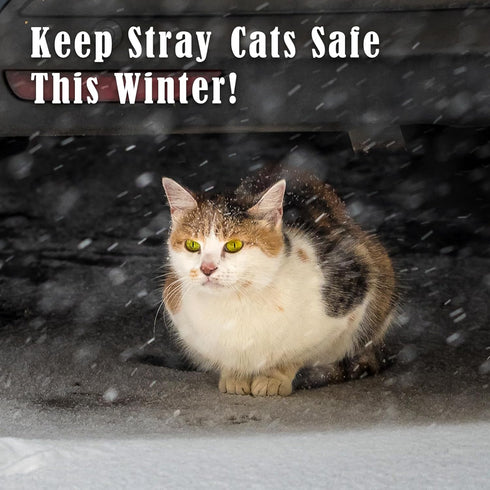Kiroto Outdoor Heating Pad for Cats, Waterproof Electric Cat Warming Pad, Heated Cat Bed for Feral Cats, 20"x16"