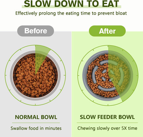 Pecute Slow Feeder Dog Bowls, Non-Spill Silicone Mat, Food-Grade Safe Bowls, Stainless Steel Water Bowl