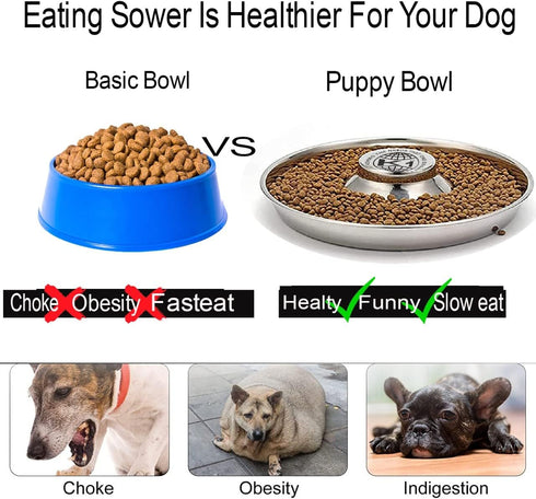 Puppy Bowls for Litter, 2 Stainless Steel Puppy Feeding Bowls, 11.5'' Food Feeding Weaning Bowl for Small Medium Pets