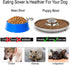 Puppy Bowls for Litter, 2 Stainless Steel Puppy Feeding Bowls, 11.5'' Food Feeding Weaning Bowl for Small Medium Pets