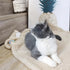 furrybaby 2-in-1 Puppy Blankets for Small Dogs - Premium Super Soft Sherpa & Fleece Dog & Cat Bed Blankets, Washable &