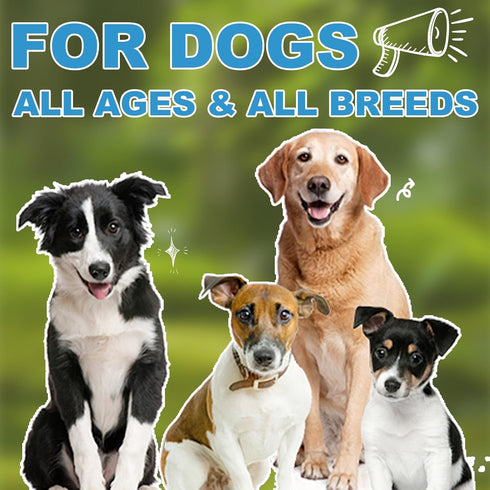 Vitamin D for Dogs, Liquid D Drops for Calcium Absorption, Supports Hip & Joint Health - Bacon Flavour
