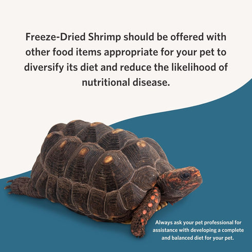 Nutrient-Packed, 1 Oz Fluker's Freeze Dried River Shrimp, Ideal for Lizards, Reptiles, Birds, Fish, Hedgehogs