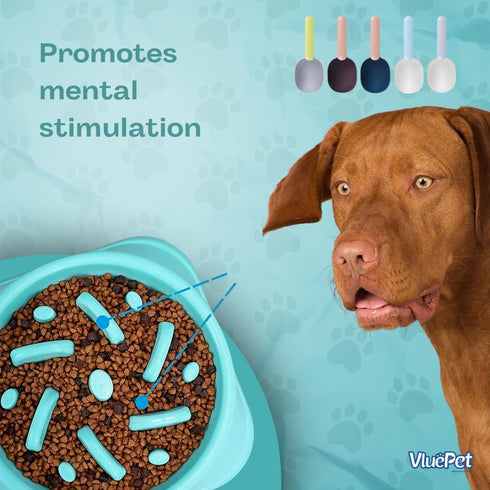 Non-Slip Slow Feeder Dog Bowl, Anti-Choke Design for Healthier Eating Habits