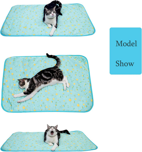 SEIS Dog Ice Pad, Ice Silk Cats Kennel Mat, Breathable Summer Cooling Pad for Pets (Blue Fruit, M)
