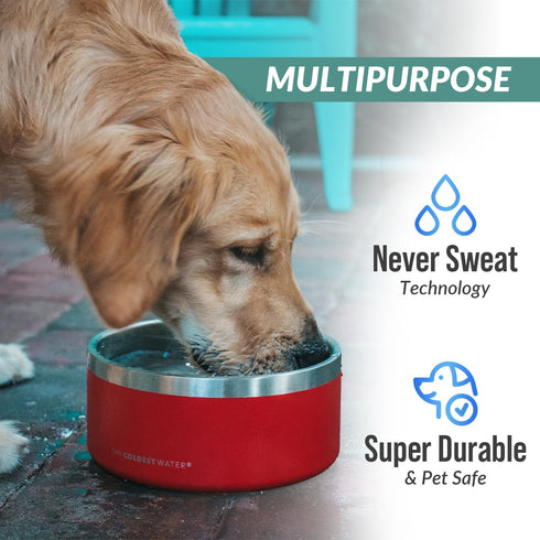 Coldest Dog Bowl, Anti Rust Metal & Non Slip, Heavy Duty Insulated Dog Bowl, 42 oz