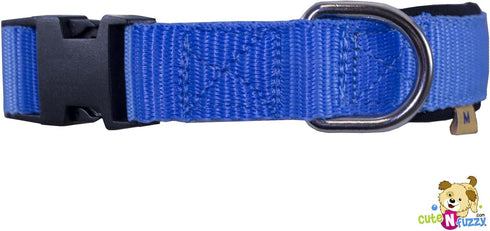 Padded Adjustable Nylon Dog Collar with Buckle, Available in Colors
