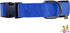 Padded Adjustable Nylon Dog Collar with Buckle, Available in Colors