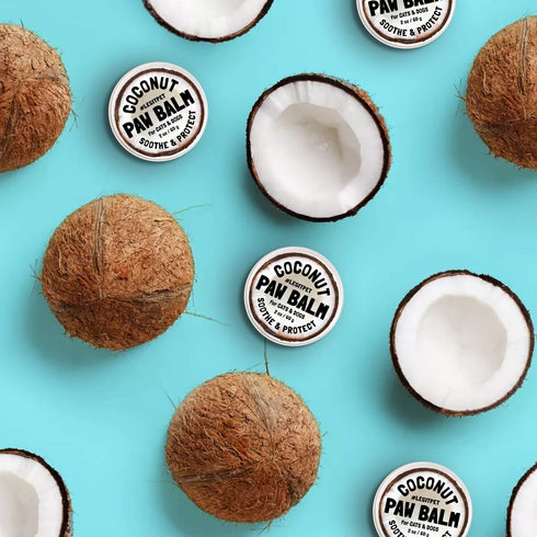 Coconut Paw Balm for Dogs by legitpet for Pet Care